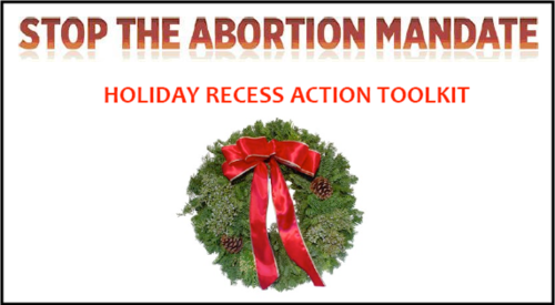 Stop the Abortion Mandate, healthcare, holiday recess toolkit.png